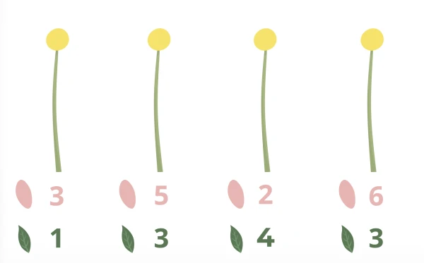 fleurs à compléter