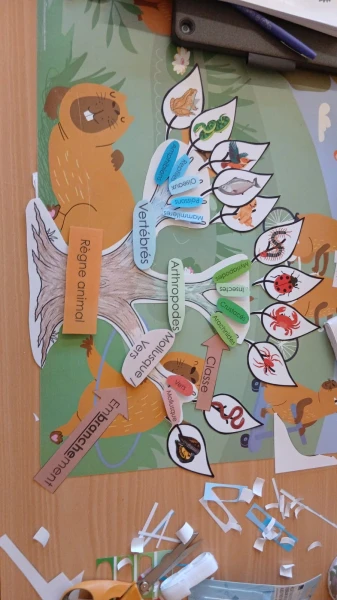 Outils pour le règne animal