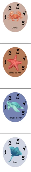 Marin - Formation de groupes
