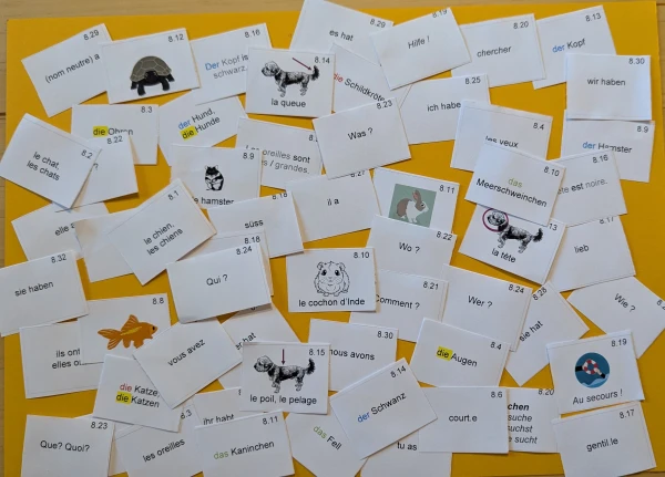 Cartes voc allemand 6H Einheit 8