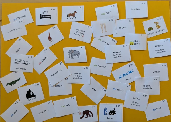 Cartes voc allemand 6H Einheit 9