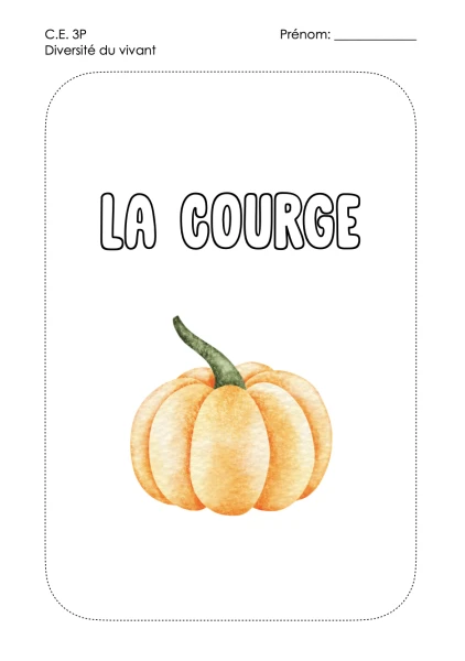 Dossier la courge 3P