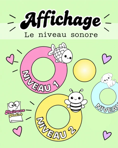 Affichage niveau sonore