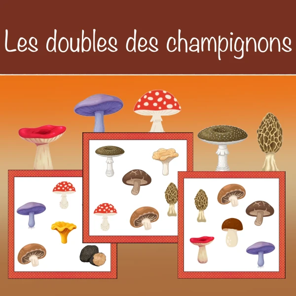 Les doubles des champignons