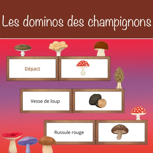 Les dominos des champignons