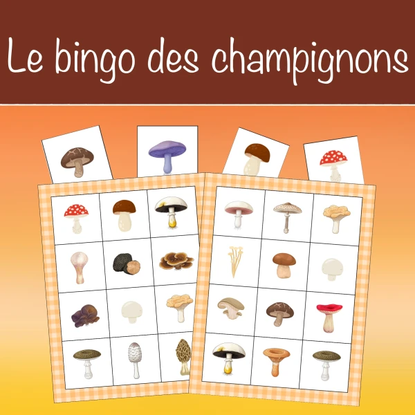 Le bingo des champignons