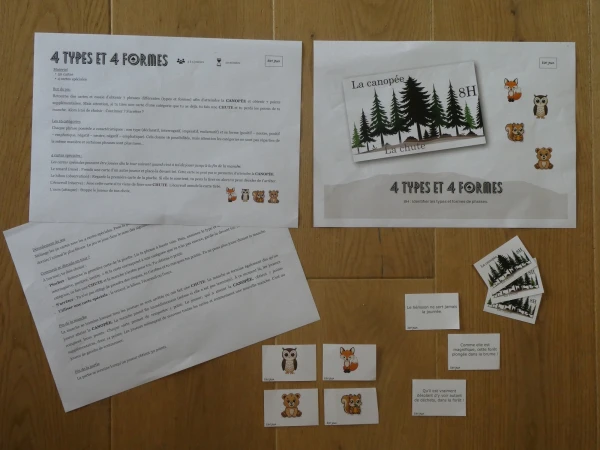 Types et formes de phrases 8H
