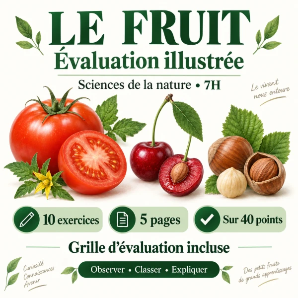 Evaluation le fruit- Modules 0-1