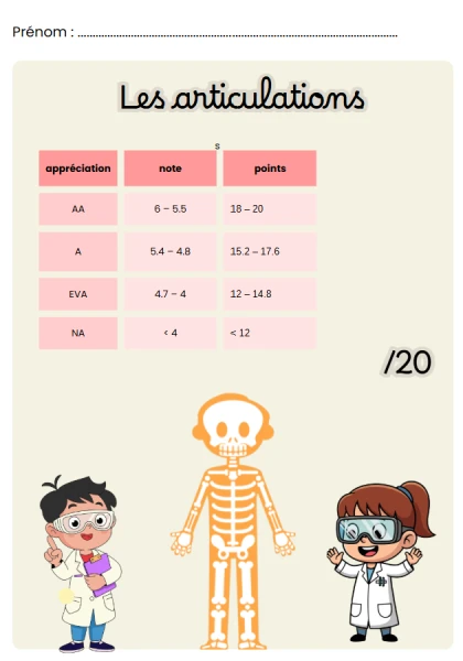 évaluation - Les articulations 3H