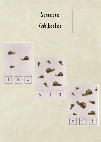 Cartes de comptage « Escargot »
