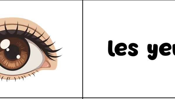Atelier sur les parties du visage