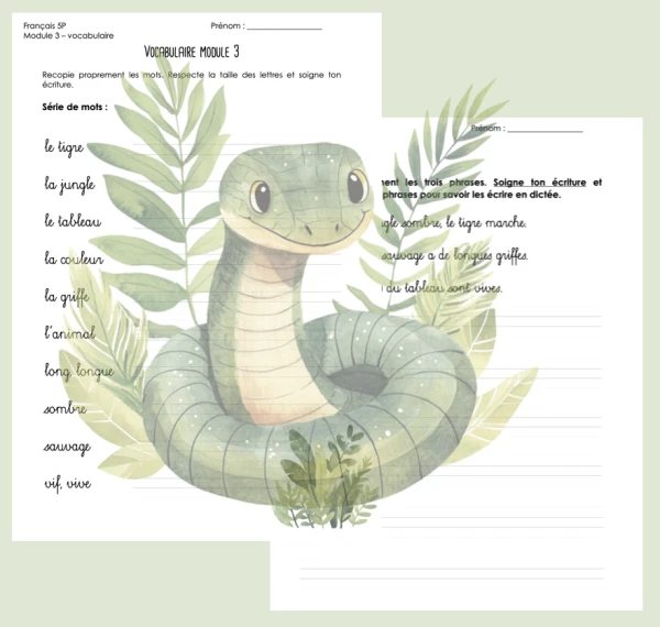 Module 3 - 5P : vocabulaire -> dossier dictée