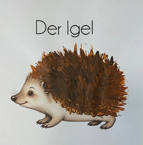 Igel