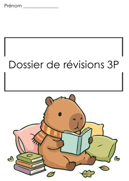 Dossier de révisions 3P