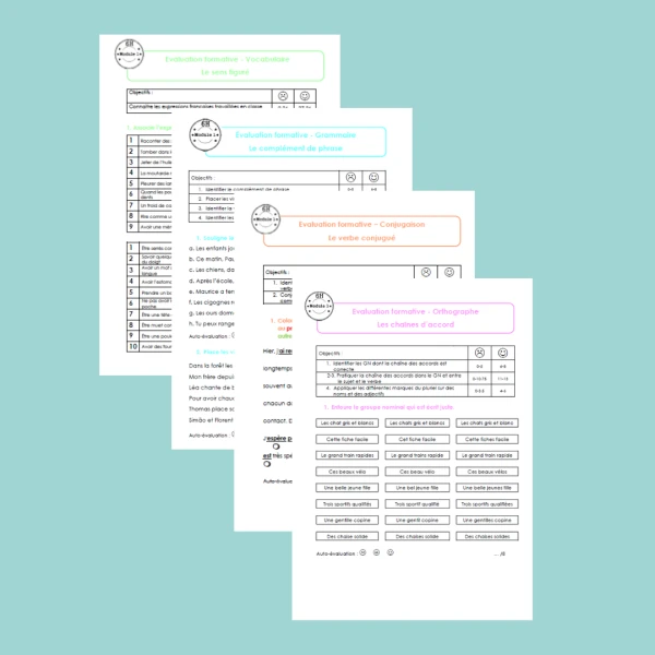 6P - M1 - Evaluations formatives