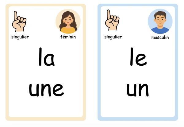 Le genre et le nombre