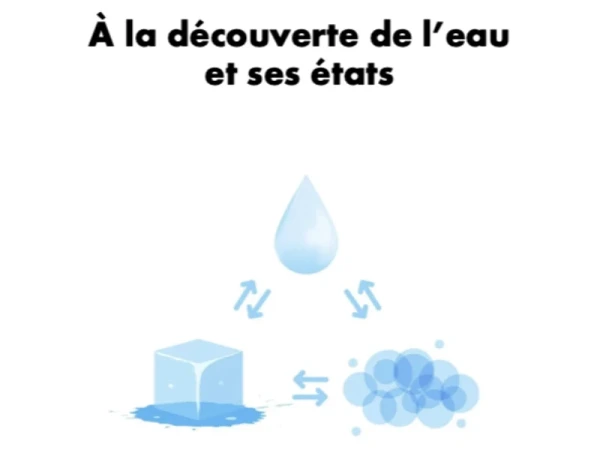 Les états de l'eau