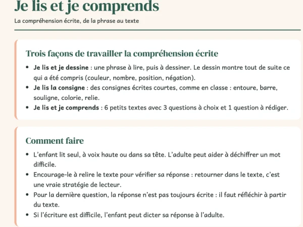 Lecture : de la phrase au texte