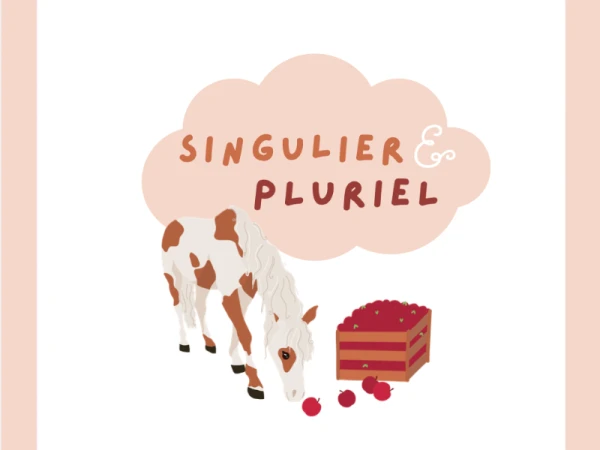 3P - 4P - 5P - français - singulier pluriel