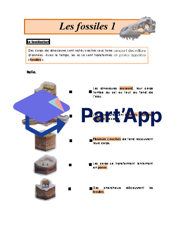 Dinosaures_7