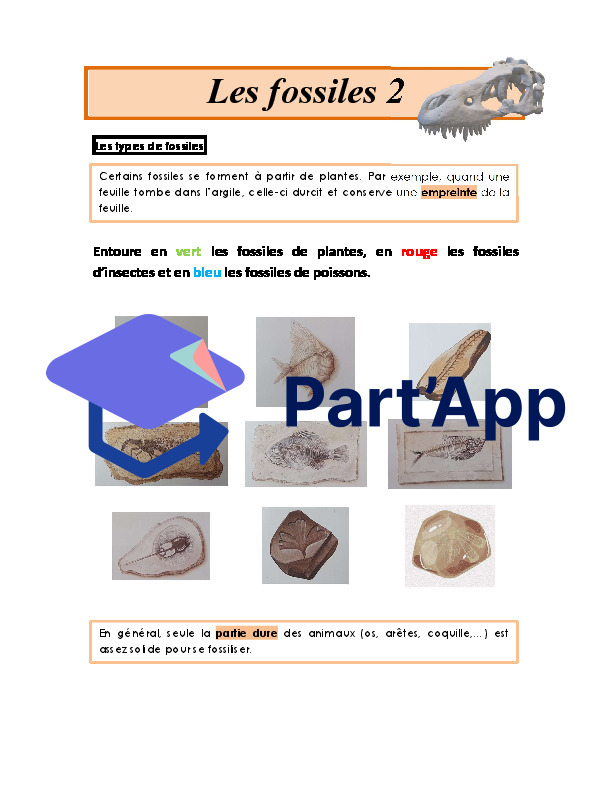 Dinosaures_8
