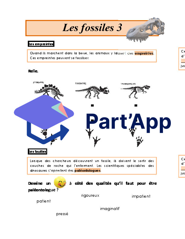 Dinosaures_9