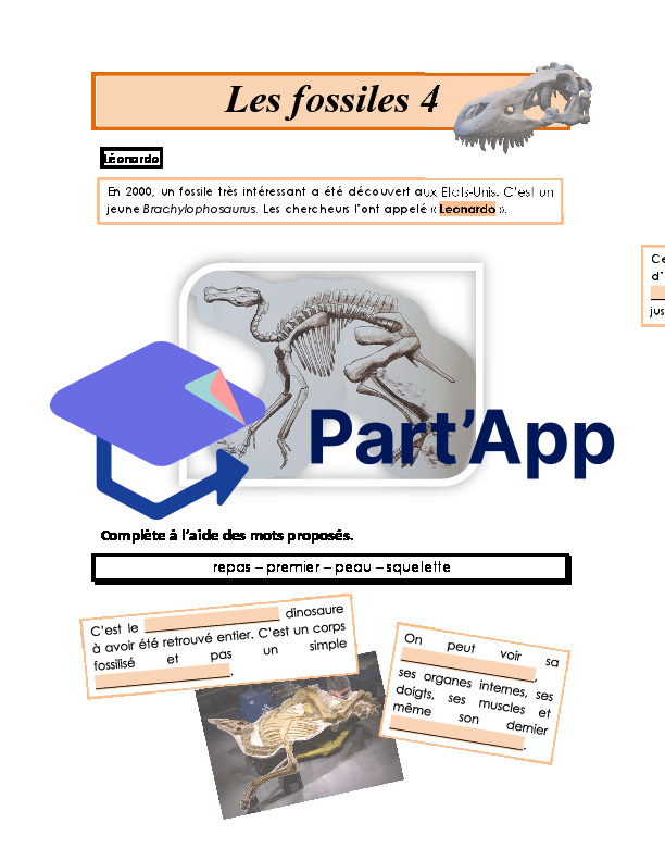 Dinosaures_11