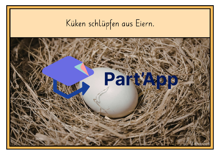 Bildkarten: Huhn und Entwicklung im Ei_7