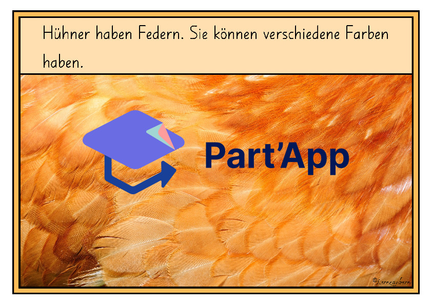 Bildkarten: Huhn und Entwicklung im Ei_9