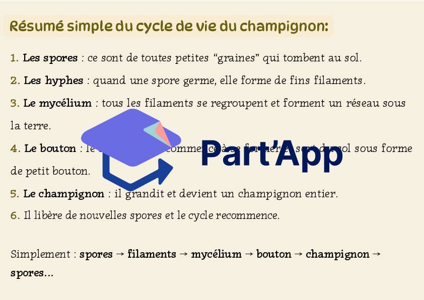 Cycle de vie du champignon_7
