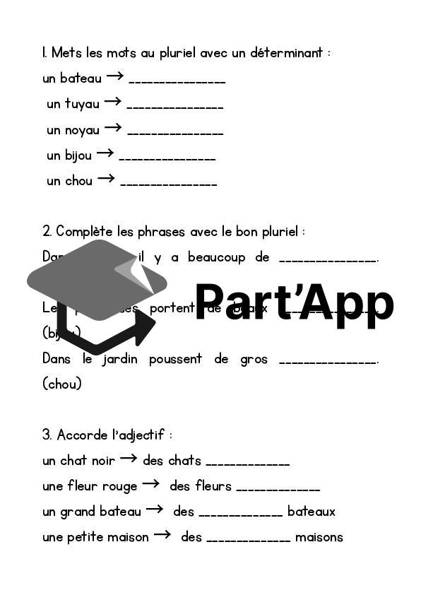 Ceinture d'orthographe 🔵 bleue – Pluriels particuliers et adjectifs_17