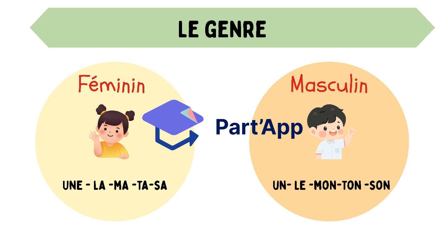 Affichage genre et nombre_4