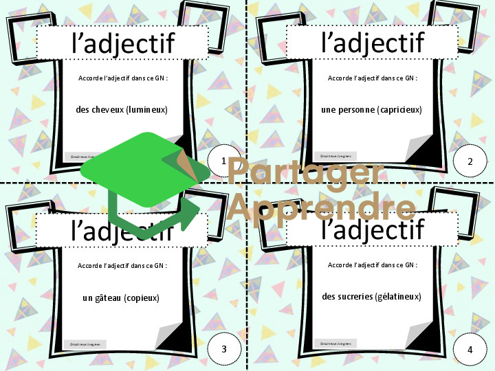 Adjectif : accords en genre et en nombre_2