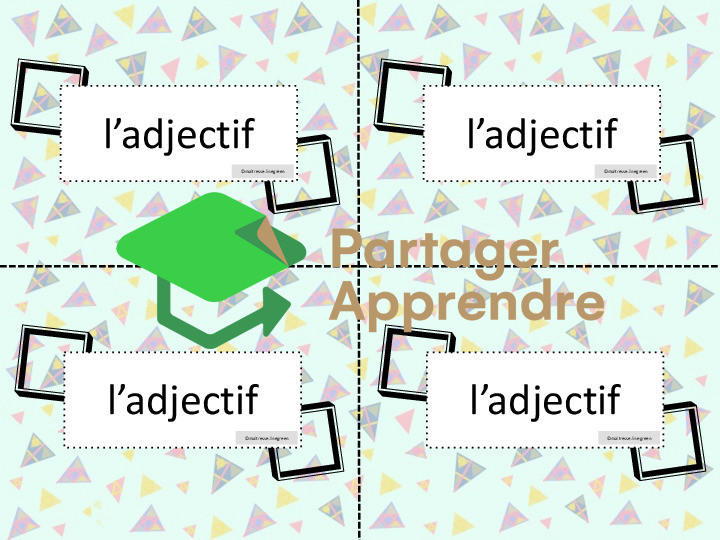 Adjectif : accords en genre et en nombre_9