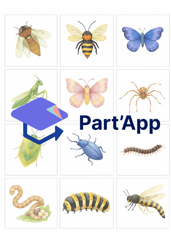 Memory Thème Insectes (24 images = 48 cartes)_2