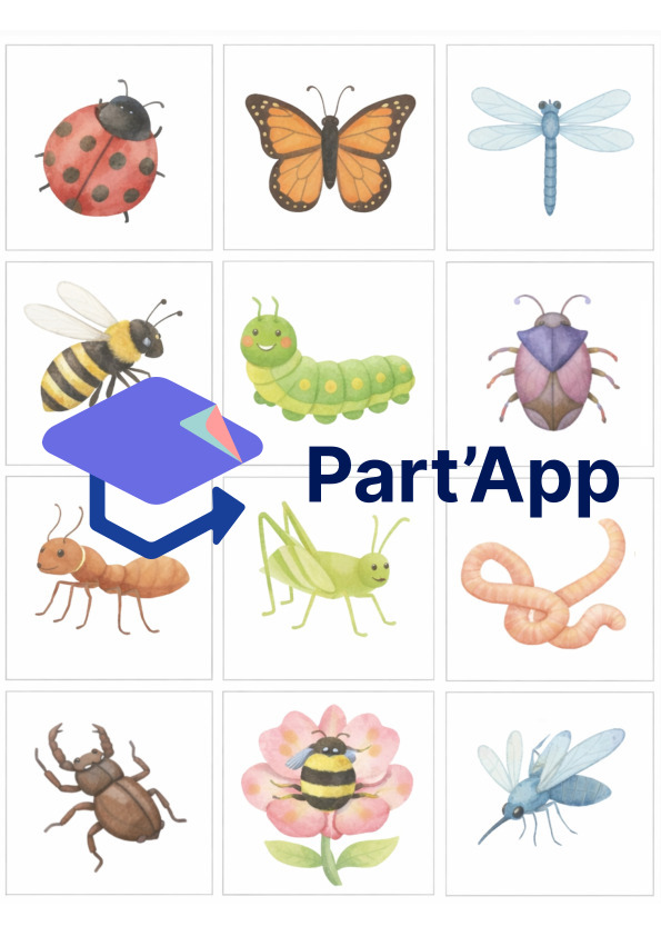 Memory Thème Insectes (24 images = 48 cartes)_4