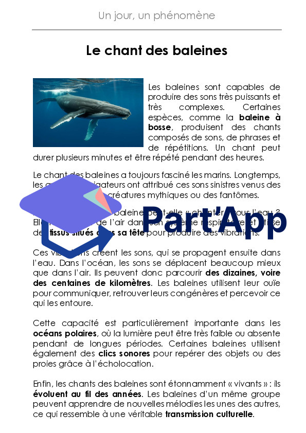 Rituel - Un jour, un phénomène : Le chant des baleines_3