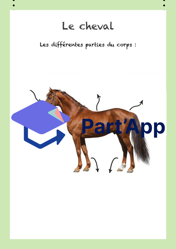 De l’école à l’écurie_3