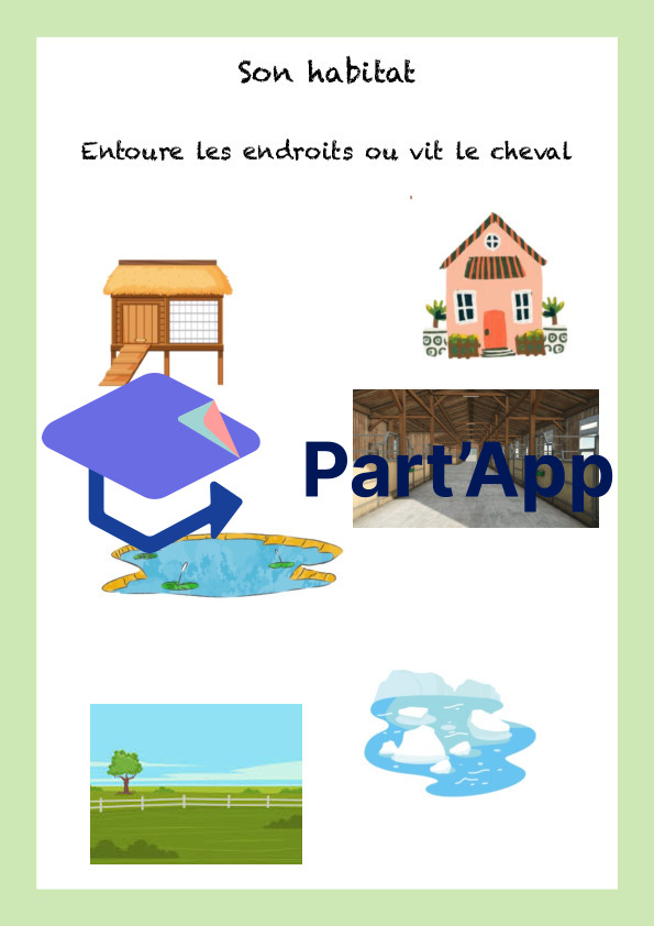 De l’école à l’écurie_7