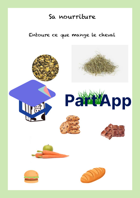 De l’école à l’écurie_8