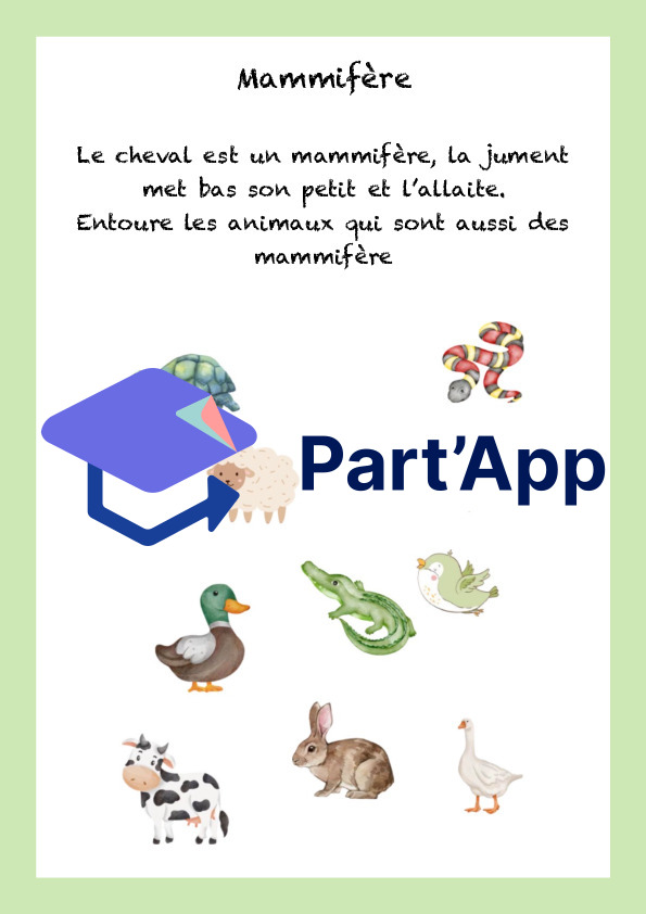 De l’école à l’écurie_10