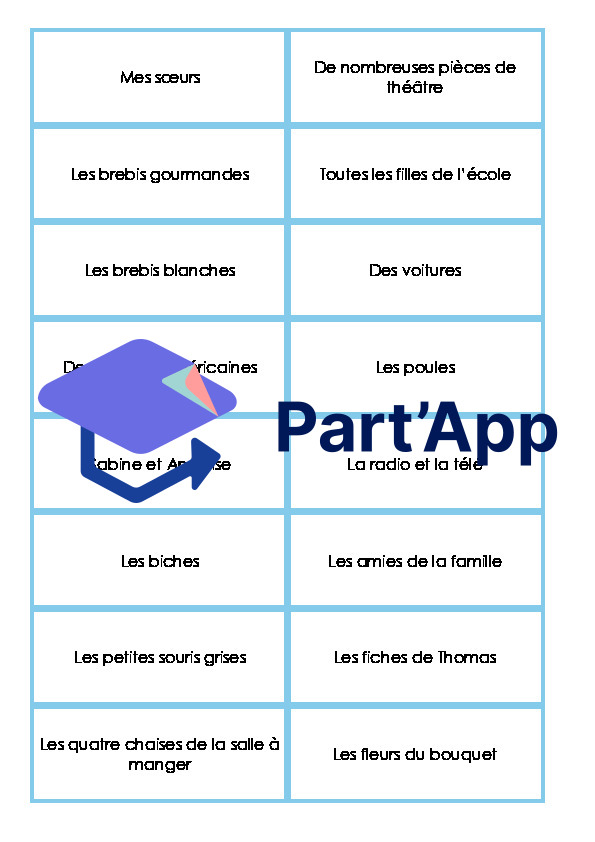6P - M3 - Pronominalisation du sujet_10