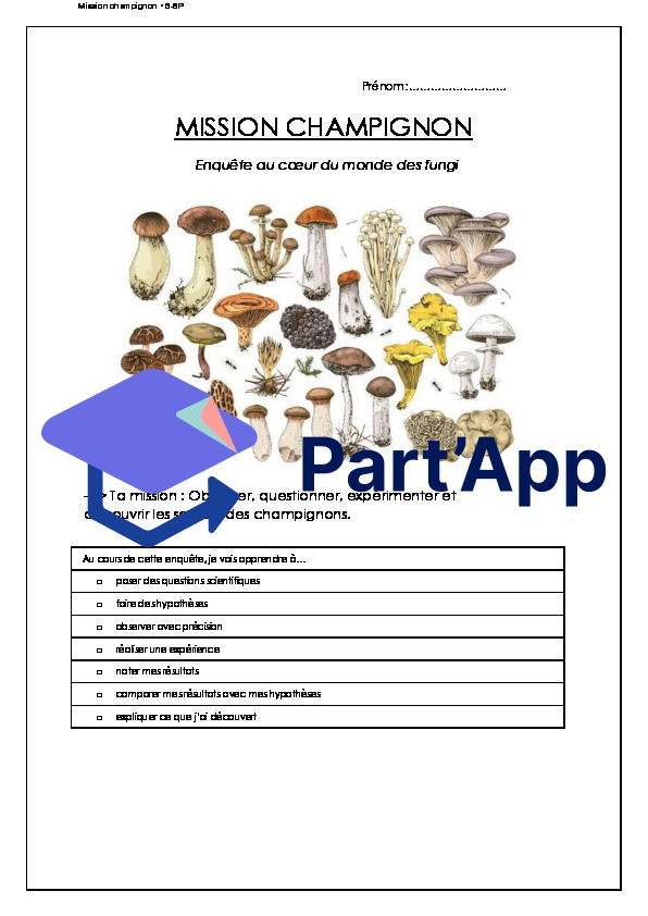 Dossier sur le champignon_2