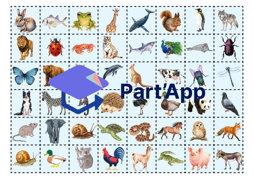 Compter les syllabes - thème animaux_3