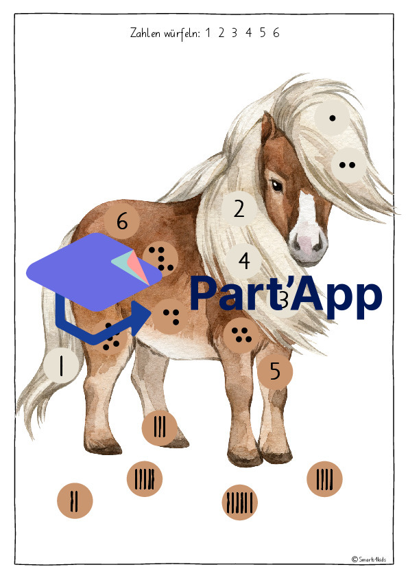🐎Dés et couvertures de poney 1-12 & 1-6_3