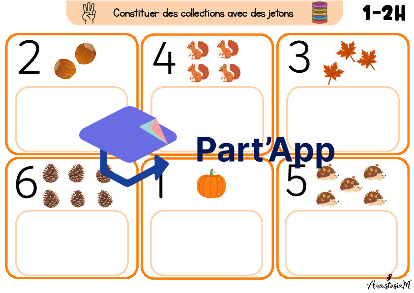 Constituer des collections (ateliers automne)_3