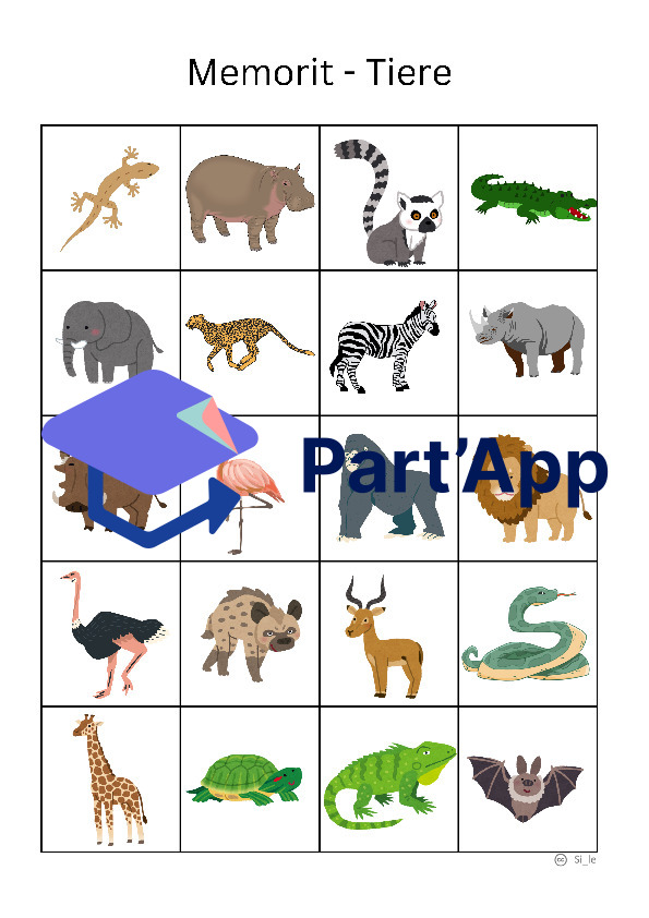 Memorit - Course de mémoire Animaux d'Afrique_4