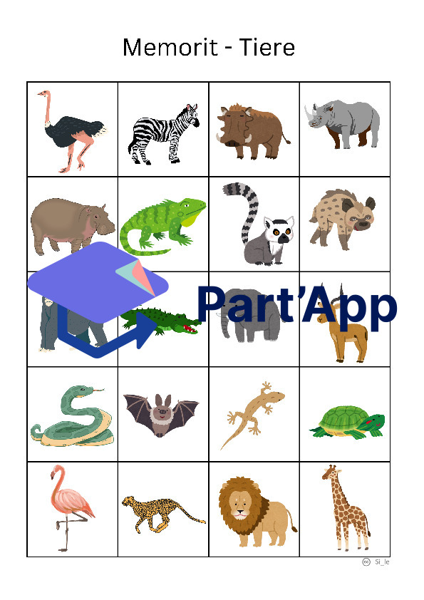 Memorit - Course de mémoire Animaux d'Afrique_6