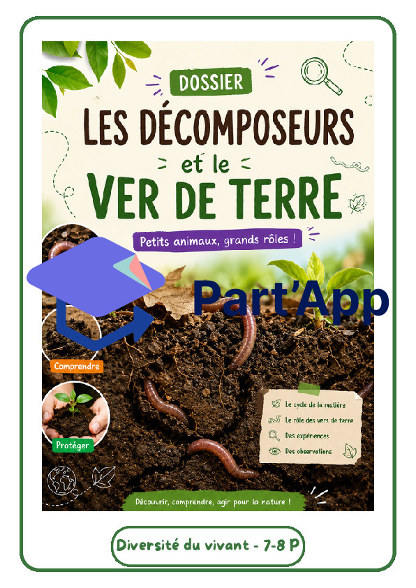 Les décomposeurs_2