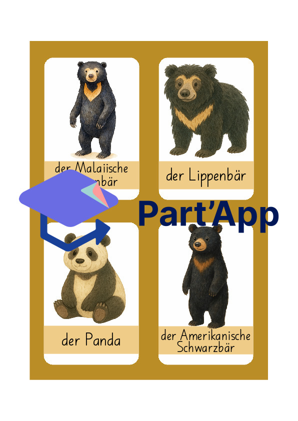 Jeu de règles Ours (espèces)_5